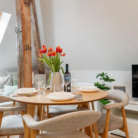 Zbrojnicna 10 Mezonet Center Apartment